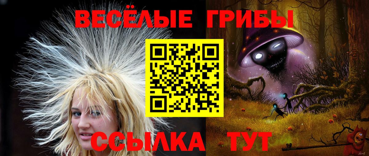 Псилоцибиновые грибы ЛСД Кунгур